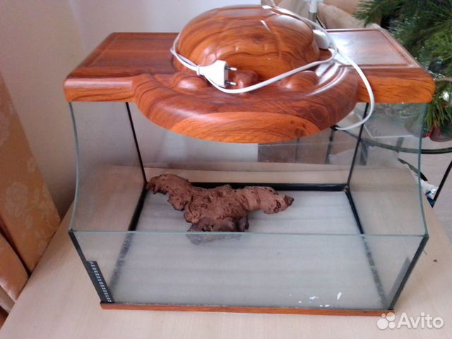 Черепашатник террариум аквариум Гесса (54см на 35