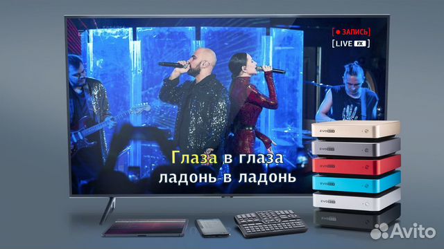 Караоке-система Evolution EvoBox рубин + планшет