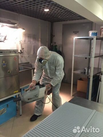 Травлю тараканов,клопов в квартире,доме