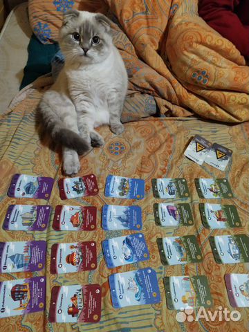 Вязка с вислоухим котом купить на Зозу.ру - фотография № 6