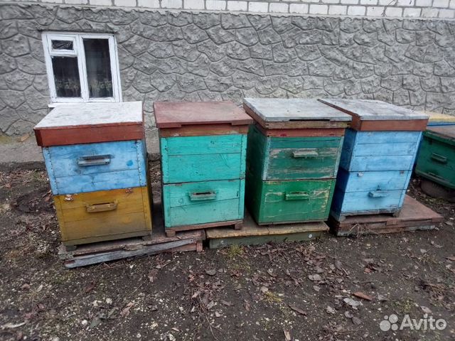 Тары для пчёл купить на Зозу.ру - фотография № 2