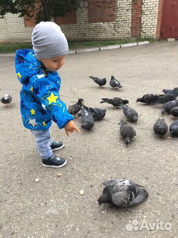 Ветровка Ветровка