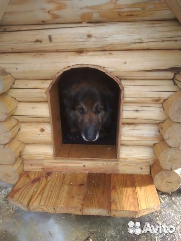 Деревянная будка для собак купить на Зозу.ру - фотография № 4