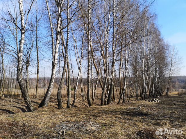 Участок 38.8 сот. (ИЖС)