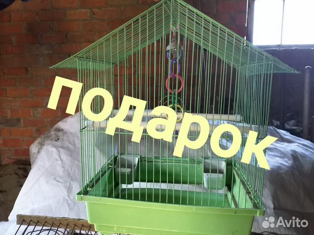 Клетка большая Клетка большая