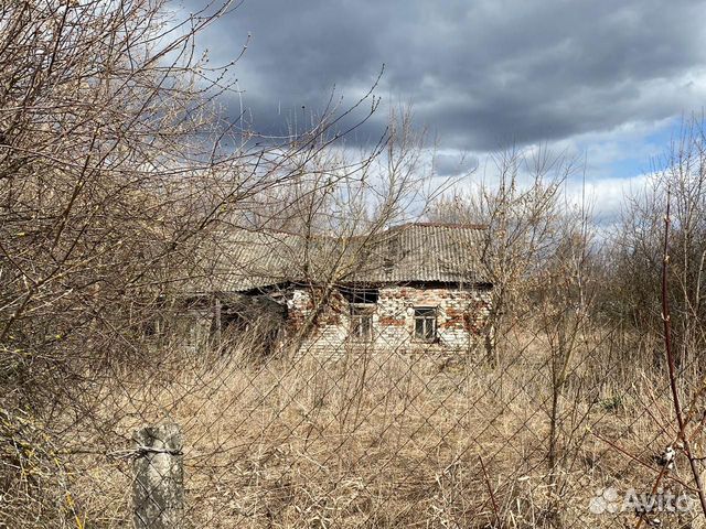 Селиваново тульской области фото