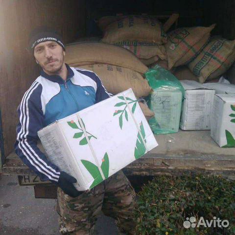 Грузчики