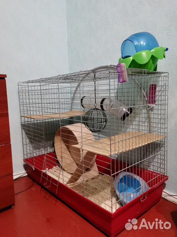 Клетка для шиншилл