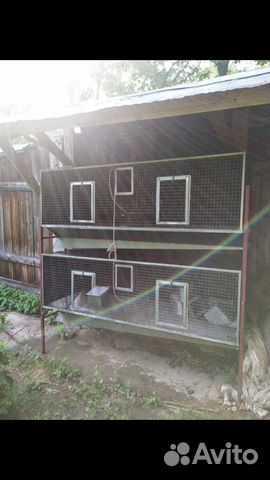 Клетка для кроликов