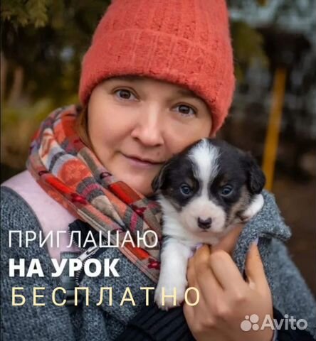 Дрессировка собак кинолог бесплатно