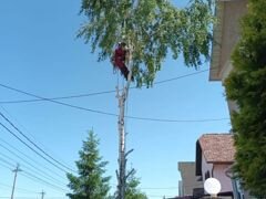 Заказать планировку участка дачного дома в г.Волгоград от 1556 руб. за сотку
