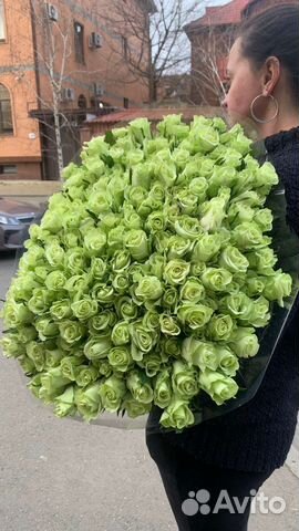 Цветы Розы белые