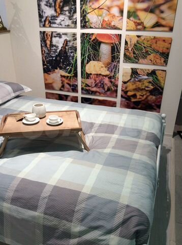 Комната 17 м² в 3-к., 8/29 эт.