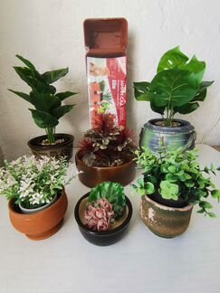 Кашпо горшки плошки керамика, мини сад, от