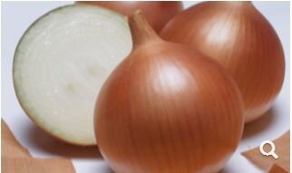 Семена Лука 