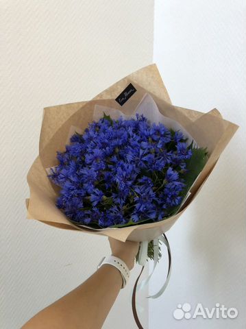 Полевой букет Васильков