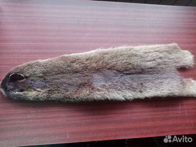 Мех нутрии, чулок