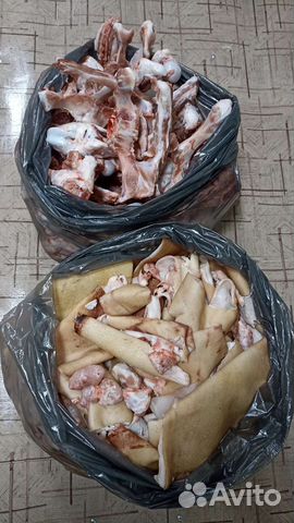 Мясо и кости для собак