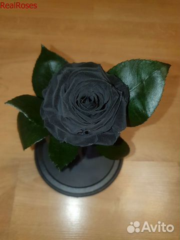 Роза в колбе