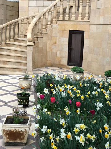 Дом 276 м² на участке 4,2 сот.