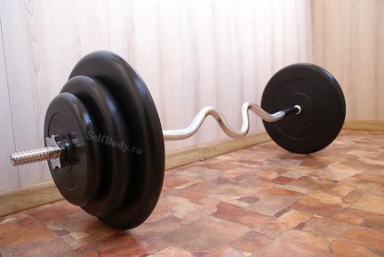 Штанга 66.1 кг (Ez-гриф + блины 2x15/2x10/2x5 кг)