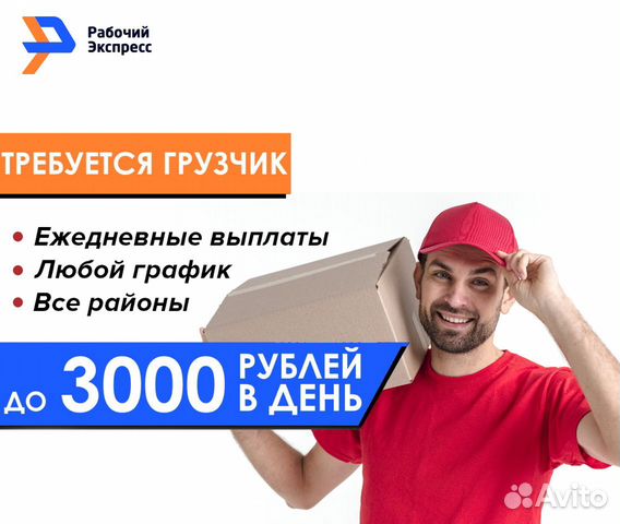 Работа новосибирск авито оплата ежедневно. Требуются грузчики оплата ежедневно. Грузчики Воронеж. Грузоперевозки грузчики Воронеж. Грузчики в Воронеже номер телефона.