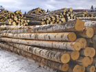 Дрова березовые, дрова сухие, уголь в Сертолово объявление продам
