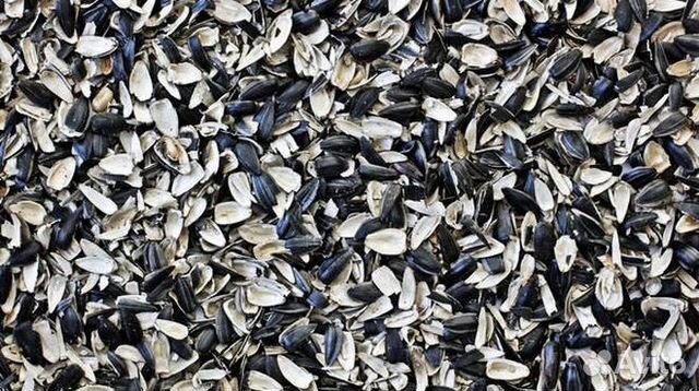 Лузга подсолнечника