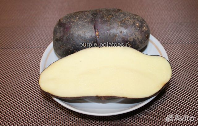 Семенной картофель Черный Принц