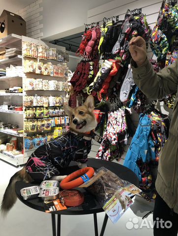 Комбинезон-дождевик для собаки lalra