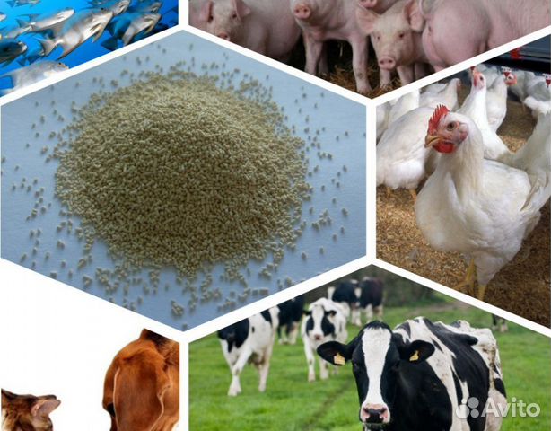 Кормовые добавки