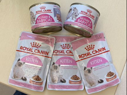 Royal canin для котят