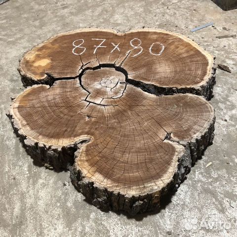 Спил дуба вяз ясень слэб