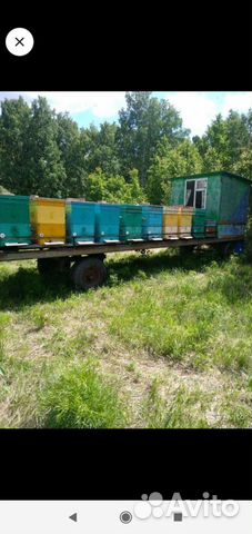 Прицеп для перевозки пчел