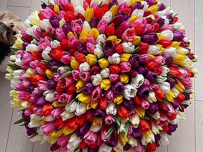 Купить цветы на авито в хакасии заказать вкусный торт в москве