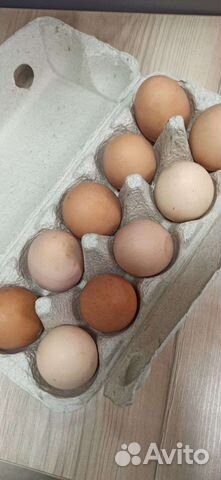 Яйца деревенские
