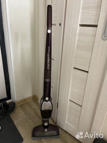 Пылесос Electrolux ergorapido
