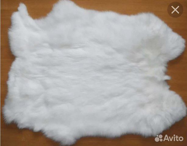Шкурка белого кролика