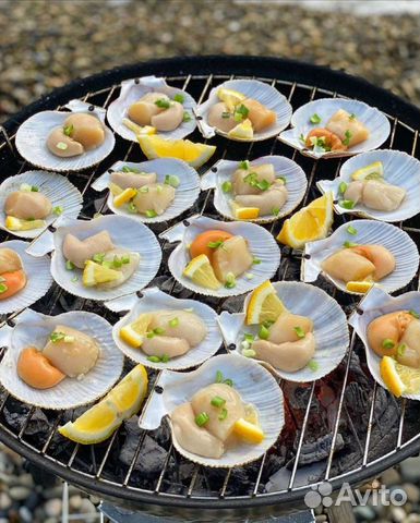 Морской гребешок (на створке)