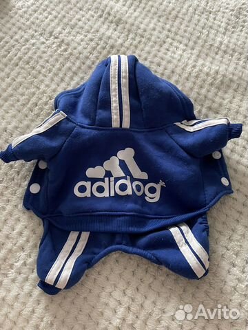 Одежда для собак мелких пород