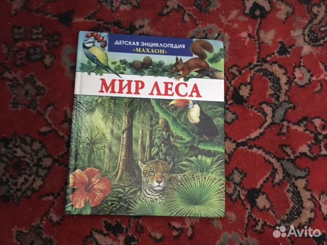 Детская энциклопедия «Мир леса» «Махаон»