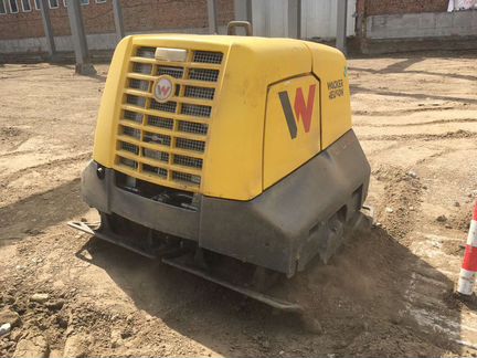 Аренда виброплиты Wacker Neuson 50-1200 кг