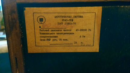 Колонки 25ас-309