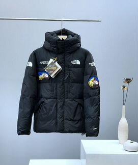 Мужской спортивный пуховик The North Face