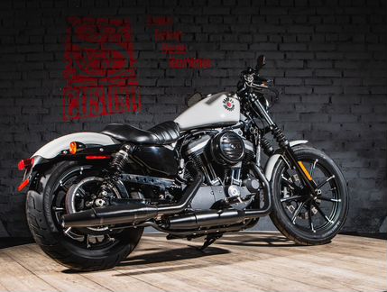 Harley-Davidson Sportster iron