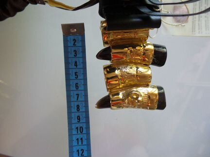 Ремень Roberto Cavalli натуральная кожа