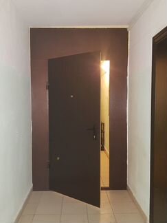 Входная металлическая дверь/Тамбурная дверь