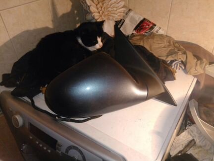 Зеркало правое Audi A8 d3 4e