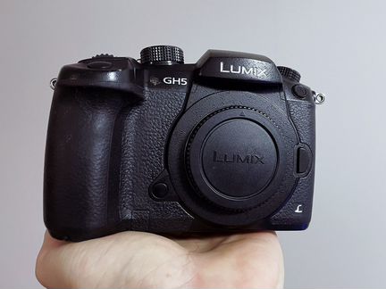 Panasonic Lumix GH5