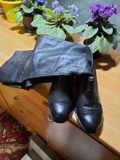 Сапоги деми